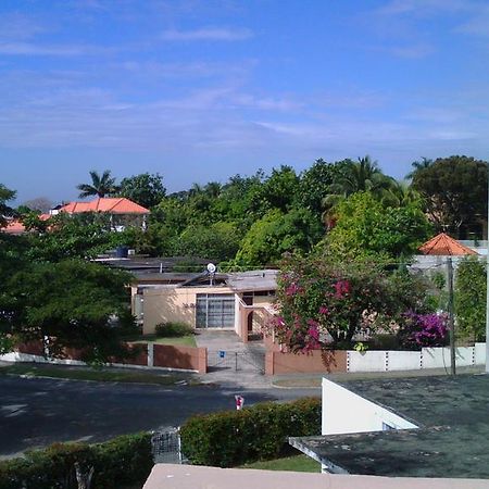Lion'S Pride Apartment Kingston Bagian luar foto