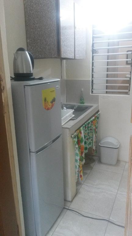 Lion'S Pride Apartment Kingston Ruang foto