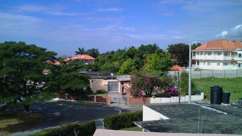 Lion'S Pride Apartment Kingston Bagian luar foto
