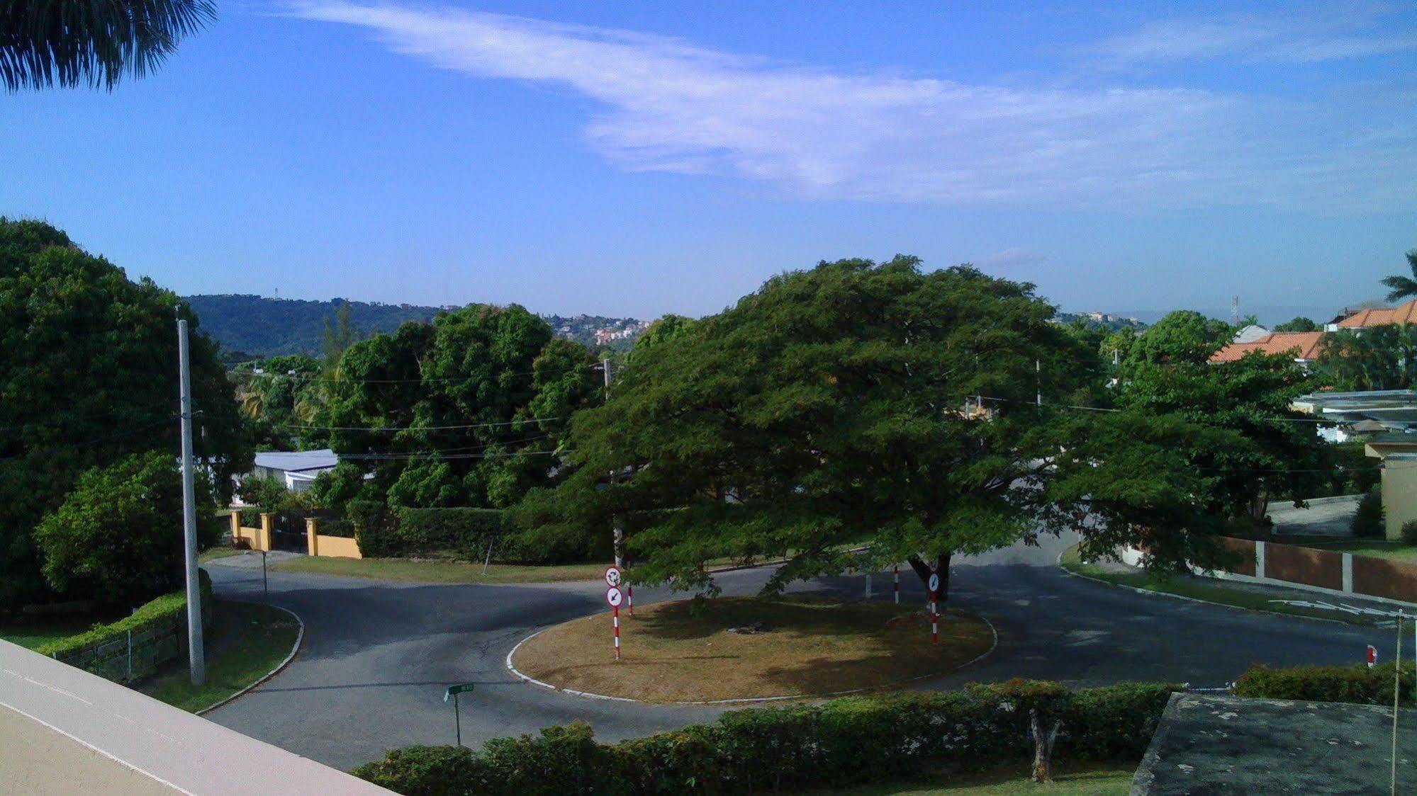 Lion'S Pride Apartment Kingston Bagian luar foto