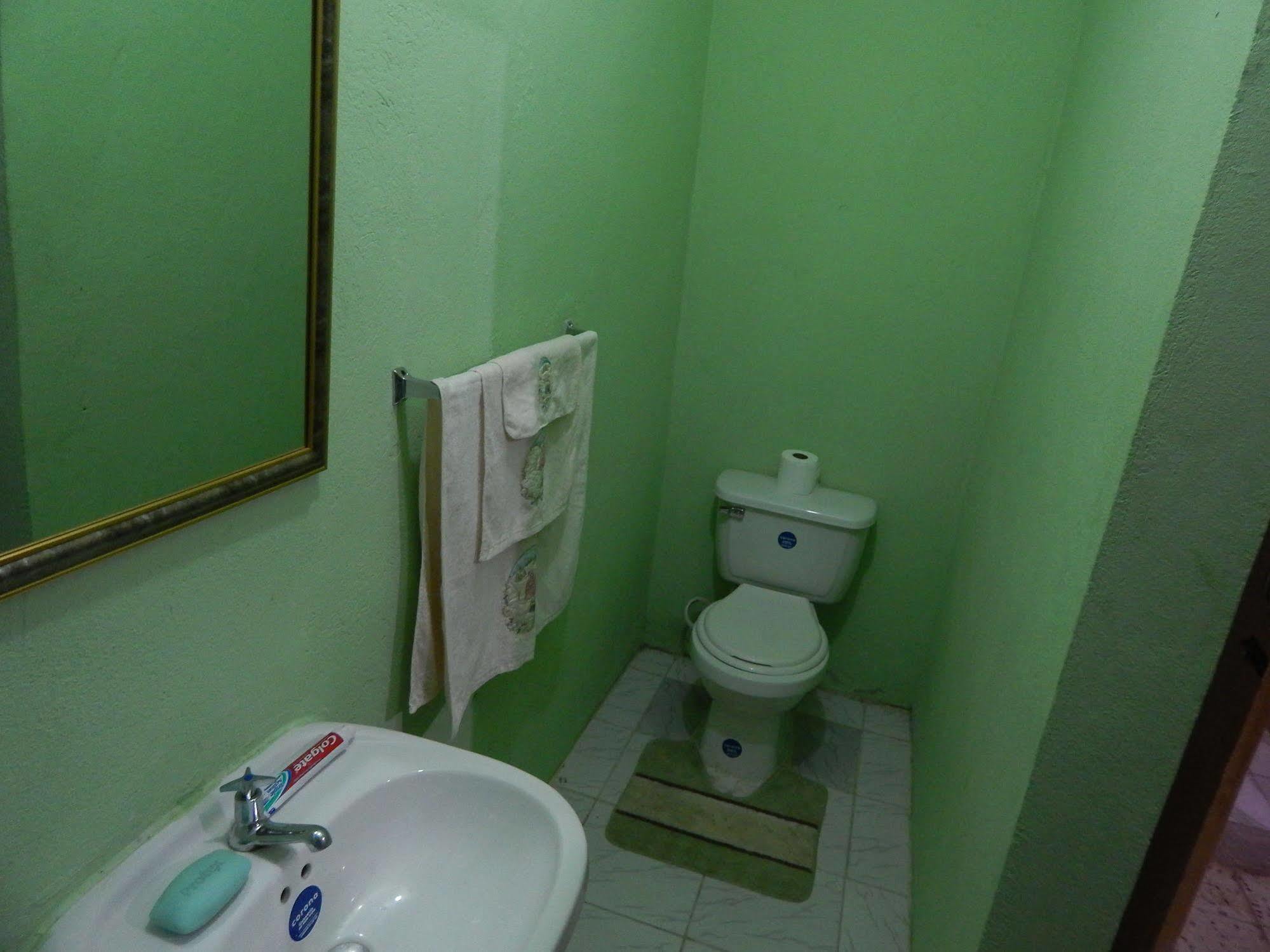 Lion'S Pride Apartment Kingston Bagian luar foto