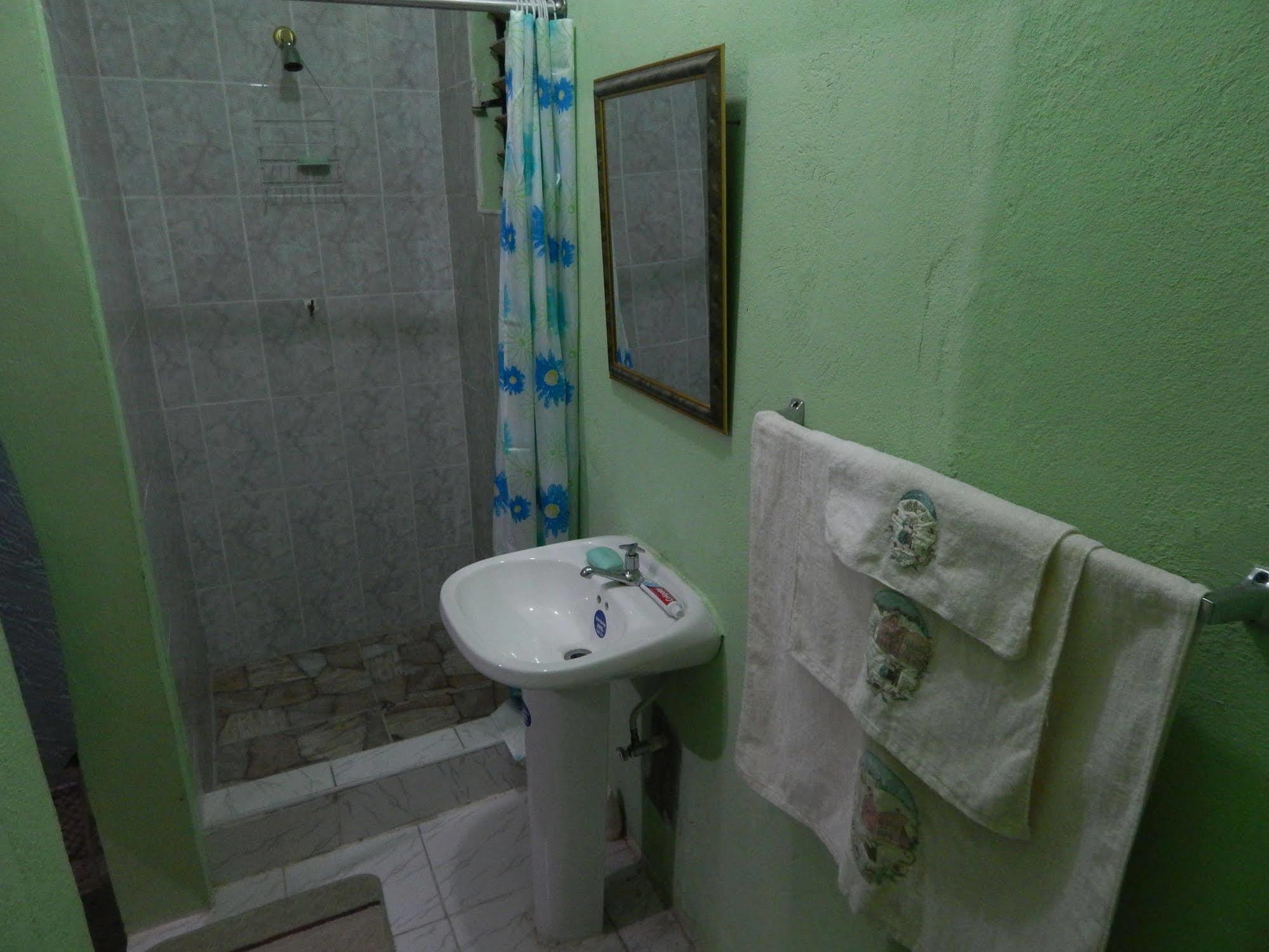 Lion'S Pride Apartment Kingston Bagian luar foto