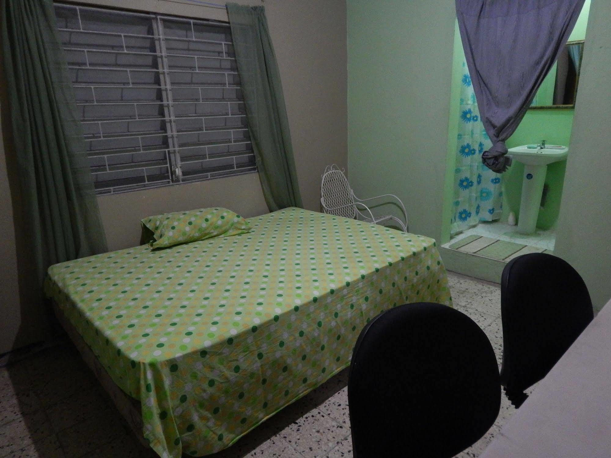 Lion'S Pride Apartment Kingston Bagian luar foto