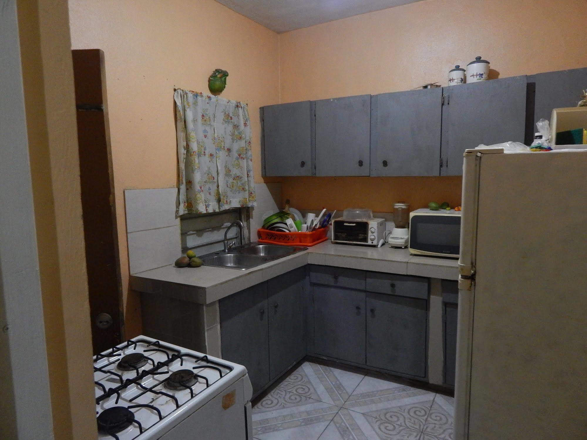 Lion'S Pride Apartment Kingston Bagian luar foto