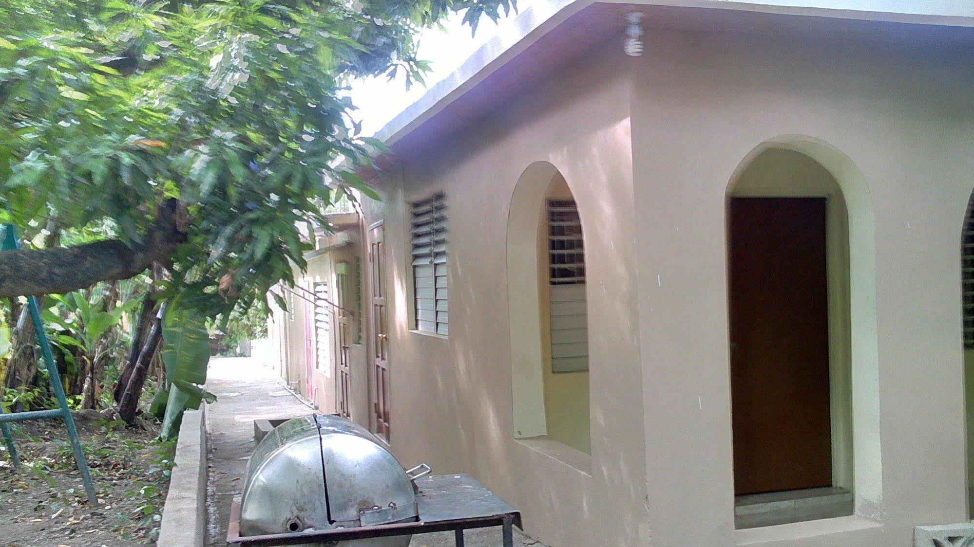 Lion'S Pride Apartment Kingston Bagian luar foto
